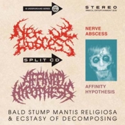 Affinity Hypothesis / Nerve Abscess - Split (CD-DA)