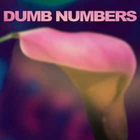 Dumb Numbers - Dumb Numbers (CD)