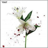 Cult,The - Hidden City (CD)