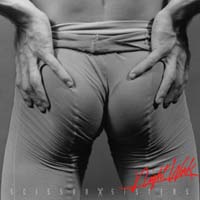 Scissor Sisters - Night Work (�D-DA)