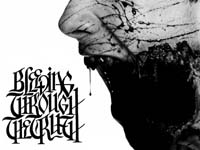 Bleeding Through - The Truth (CD-DA)