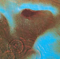 Pink Floyd - Meddle (CD)