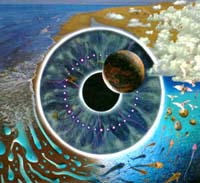 Pink Floyd - Pulse (2CD)