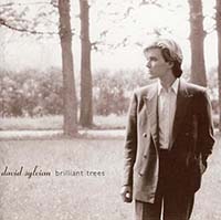 Sylvian, David - Brilliant Trees (CD)