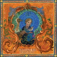 Straylight Run - The Needles The Space  (CD-DA)