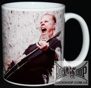 Metallica - 17 (������)