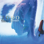 Fleshwater - 2000: In Search of the Endless Sky (Blue Coloured Vinyl) (LP)