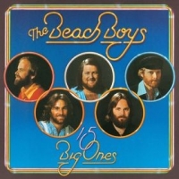 Beach Boys, The - 15 Big Ones (LP)
