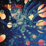 Buzzard - Sonic Renaissance (Black Vinyl)