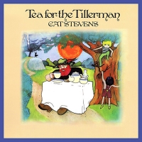 Stevens, Cat - Tea For The Tillerman (LP)