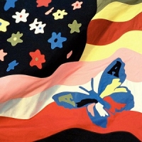 Avalanches, The - Wildflower  (2LP)