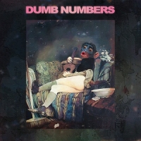 Dumb Numbers - II (LP+mp3)