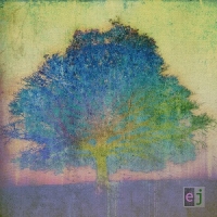 Eric Johnson - EJ (LP)