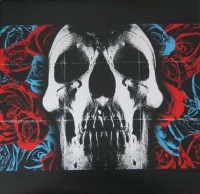 Deftones - Deftones (LP)