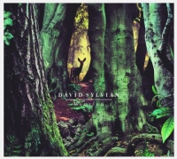 Sylvian, David - Manafon (CD)
