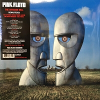 Pink Floyd - The Division Bell (2LP)